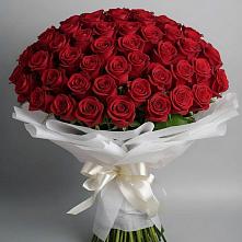Букет 101 Красная роза Блэк Мэджик в Вилючинске
