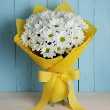 Букет цветов из:  Хризантемы в Вилючинске