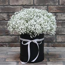 Цветочная композиция из Гипсофила в шляпной коробке в Вилючинске