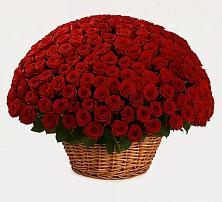 Премиум букет из: Розы в Вилючинске